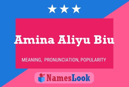 Amina Aliyu Biu Naam Poster