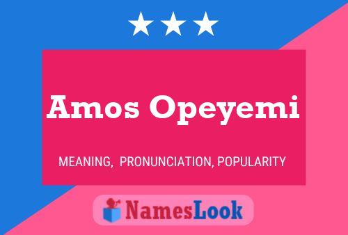 Amos Opeyemi Naam Poster