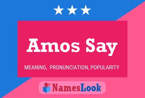 Amos Say Naam Poster