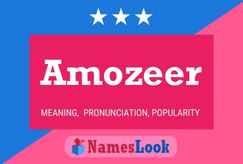 Amozeer Naam Poster