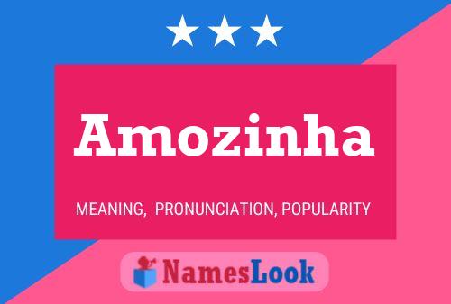 Amozinha Naam Poster