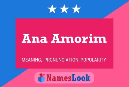 Ana Amorim Naam Poster