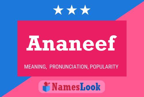 Ananeef Naam Poster