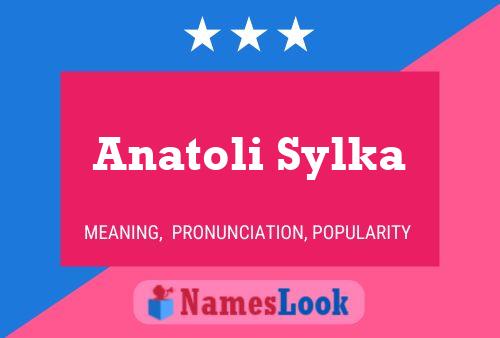 Anatoli Sylka Naam Poster