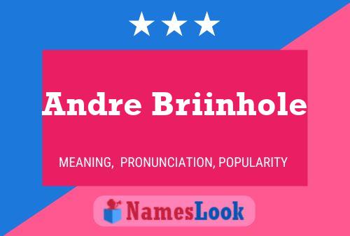 Andre Briinhole Naam Poster