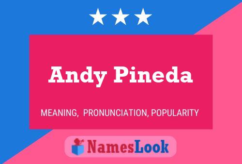 Andy Pineda Naam Poster