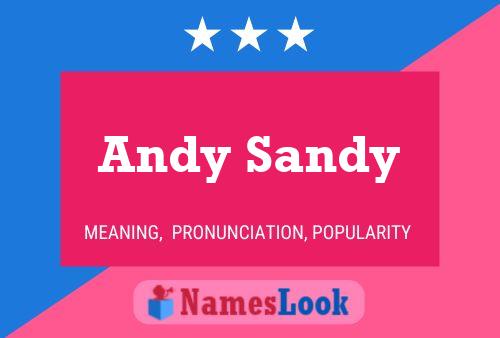 Andy Sandy Naam Poster