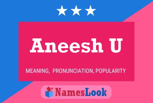 Aneesh U Naam Poster