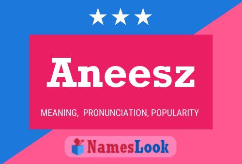 Aneesz Naam Poster