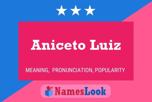 Aniceto Luiz Naam Poster