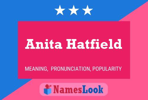 Anita Hatfield Naam Poster