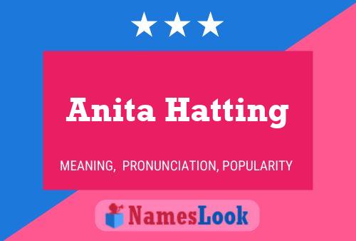 Anita Hatting Naam Poster