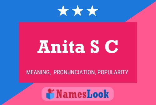 Anita S C Naam Poster