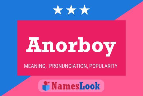 Anorboy Naam Poster