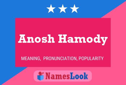 Anosh Hamody Naam Poster