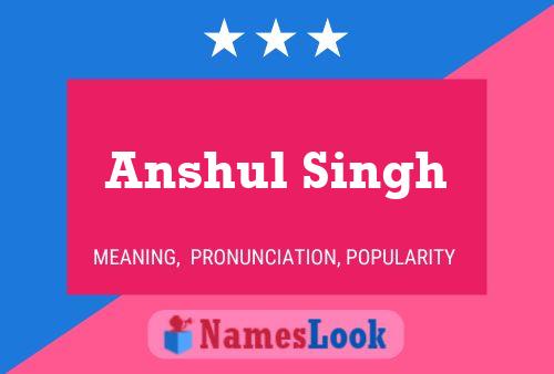 Anshul Singh Naam Poster