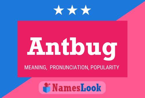 Antbug Naam Poster