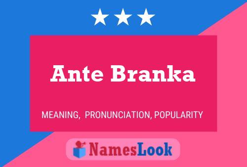 Ante Branka Naam Poster