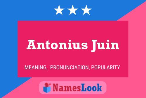 Antonius Juin Naam Poster