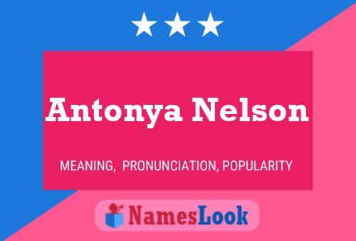 Antonya Nelson Naam Poster