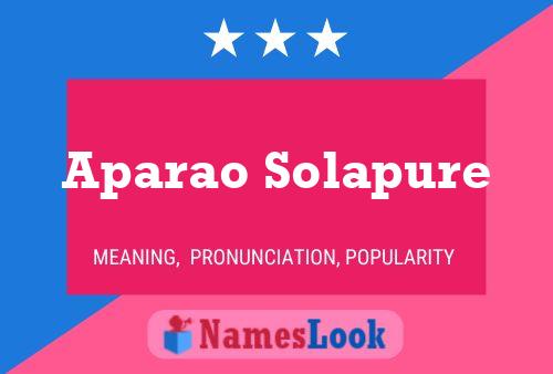 Aparao Solapure Naam Poster