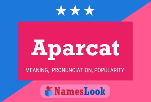 Aparcat Naam Poster