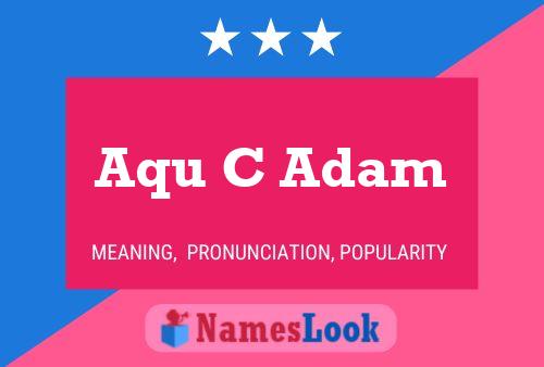 Aqu C Adam Naam Poster