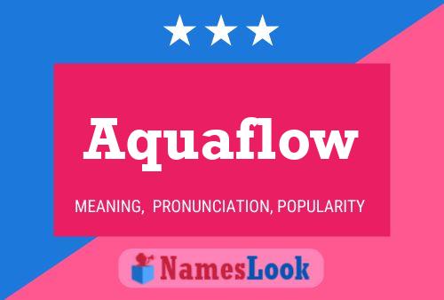 Aquaflow Naam Poster