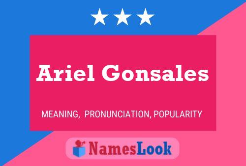 Ariel Gonsales Naam Poster