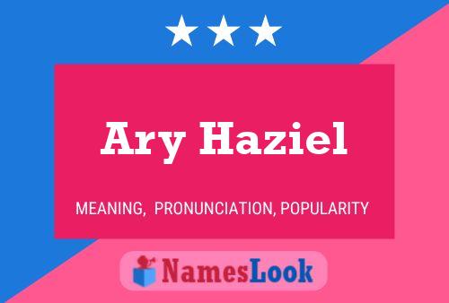 Ary Haziel Naam Poster