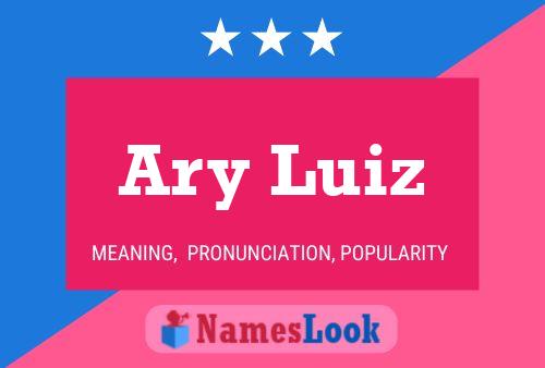 Ary Luiz Naam Poster