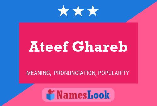 Ateef Ghareb Naam Poster