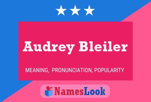 Audrey Bleiler Naam Poster