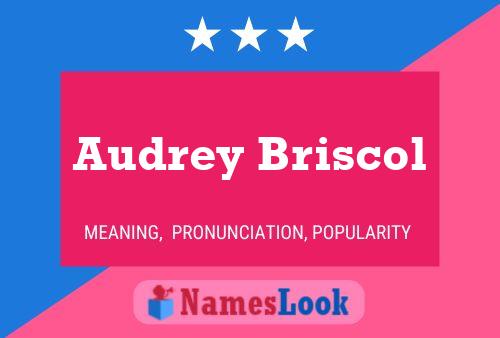 Audrey Briscol Naam Poster