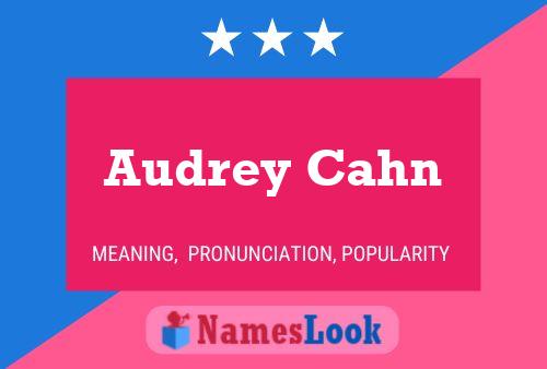 Audrey Cahn Naam Poster