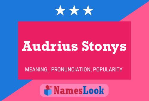 Audrius Stonys Naam Poster