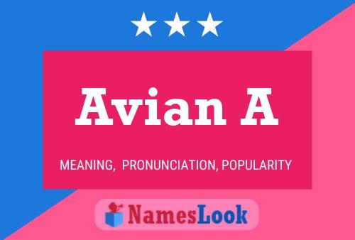 Avian A Naam Poster