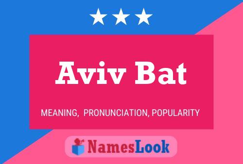 Aviv Bat Naam Poster