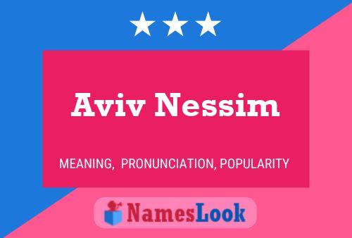 Aviv Nessim Naam Poster