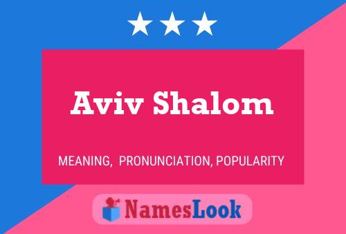 Aviv Shalom Naam Poster