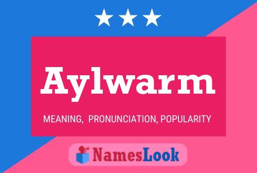 Aylwarm Naam Poster