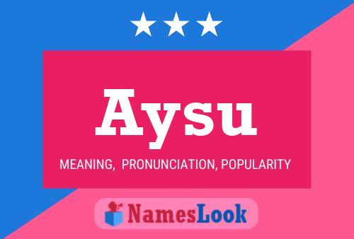 Aysu Naam Poster