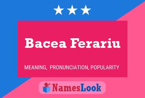 Bacea Ferariu Naam Poster