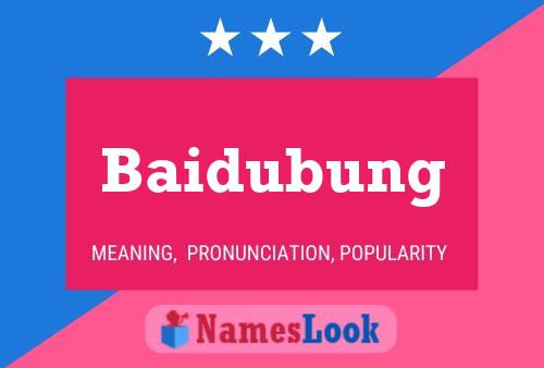 Baidubung Naam Poster