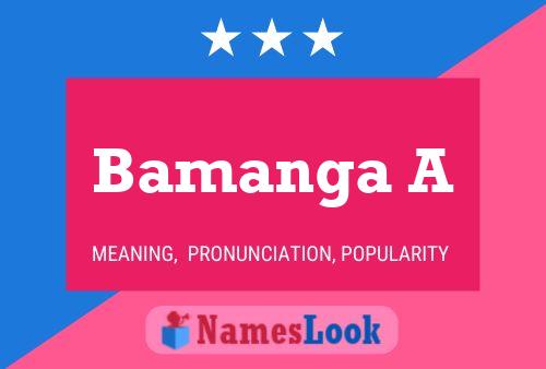 Bamanga A Naam Poster