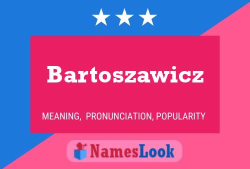 Bartoszawicz Naam Poster