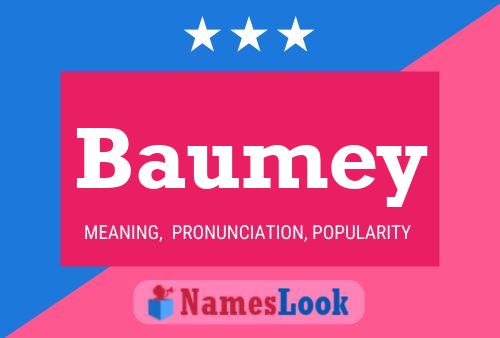 Baumey Naam Poster