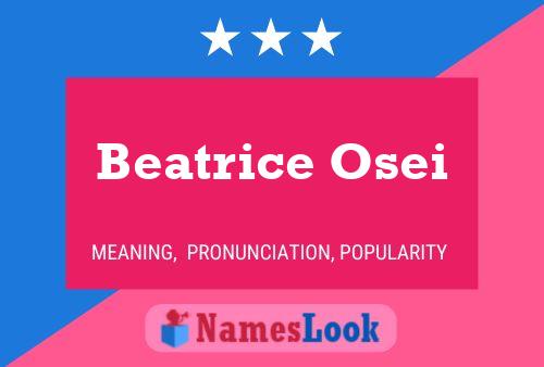 Beatrice Osei Naam Poster