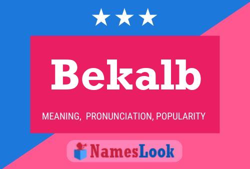 Bekalb Naam Poster