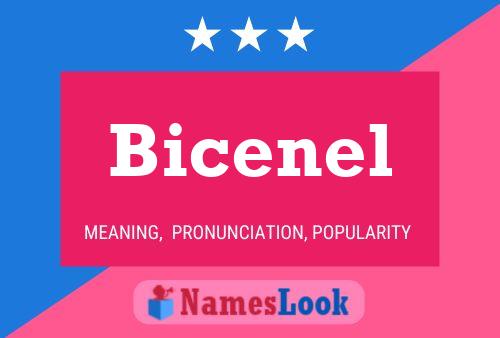 Bicenel Naam Poster